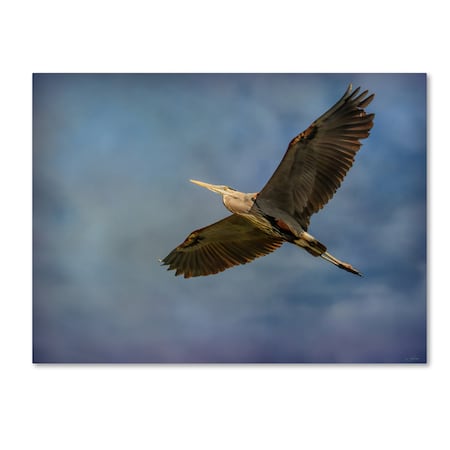 Jai Johnson 'Heron Overhead' Canvas Art,35x47